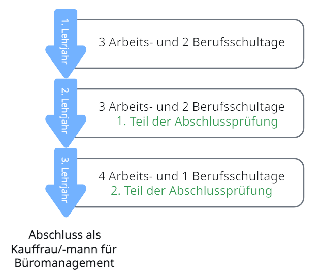 Grafik Ablauf Ausbildung Kauffrau/Kaufmann für Büromanagment Grafik Ablauf Ausbildung Kauffrau/Kaufmann für Büromanagment